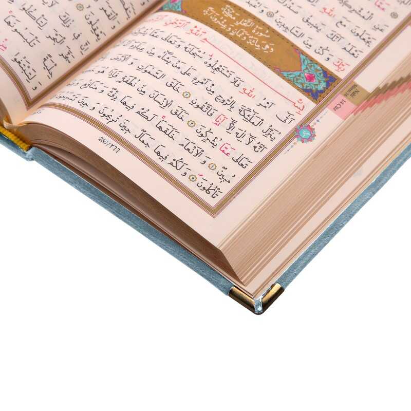 Text